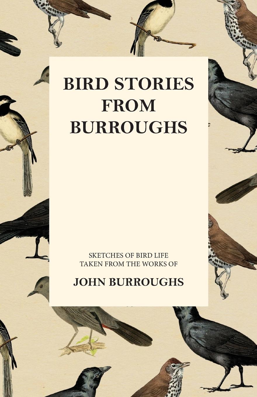 Vorderes Coverbild Bird Stories from Burroughs - Sketches of Bird Life Taken from the Works of John Burroughs