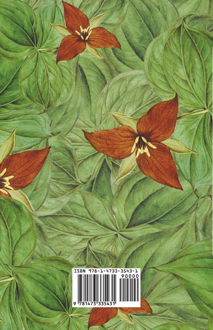 Rückseitencover My Boyhood