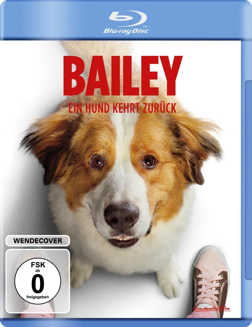 Vorderes Coverbild Bailey - Ein Hund kehrt zurück