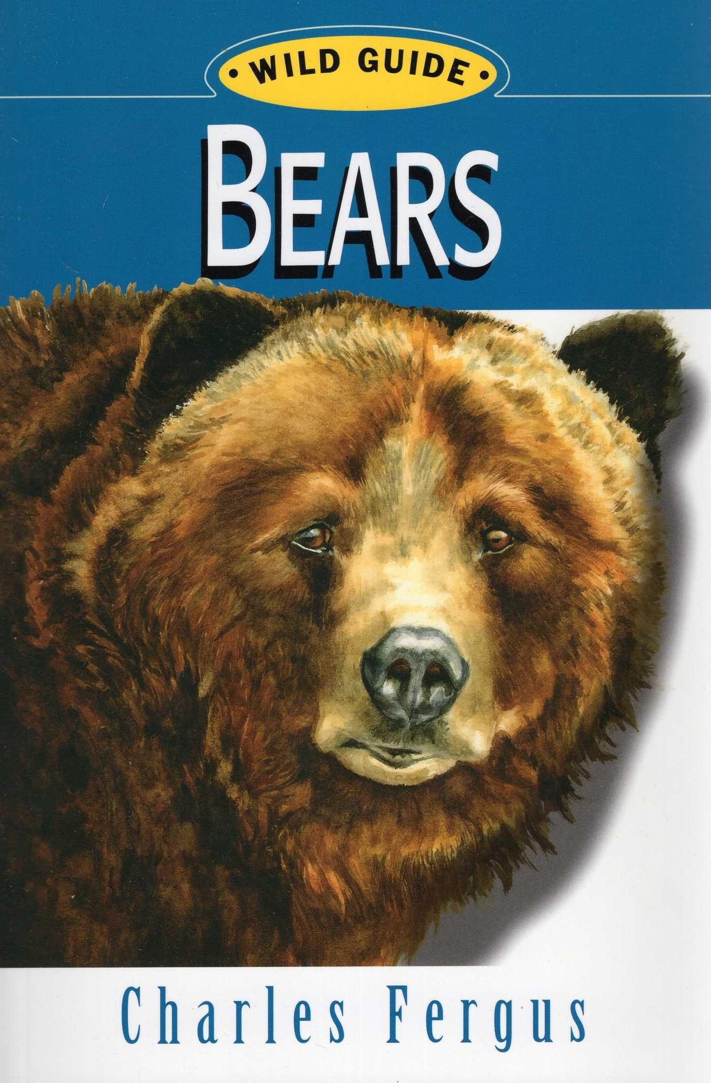 Vorderes Coverbild Bears