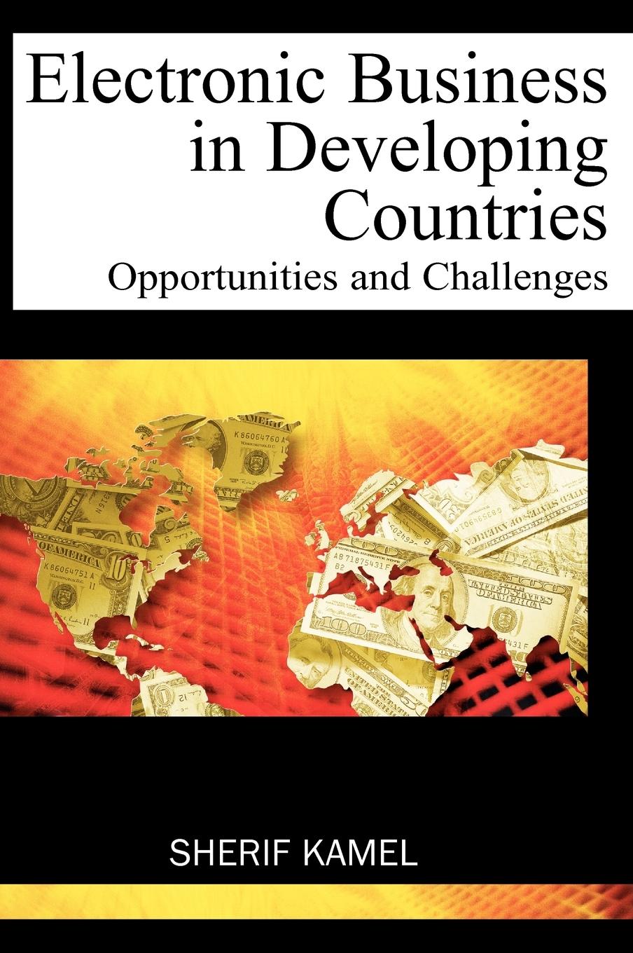 Vorderes Coverbild Electronic Business in Developing Countries