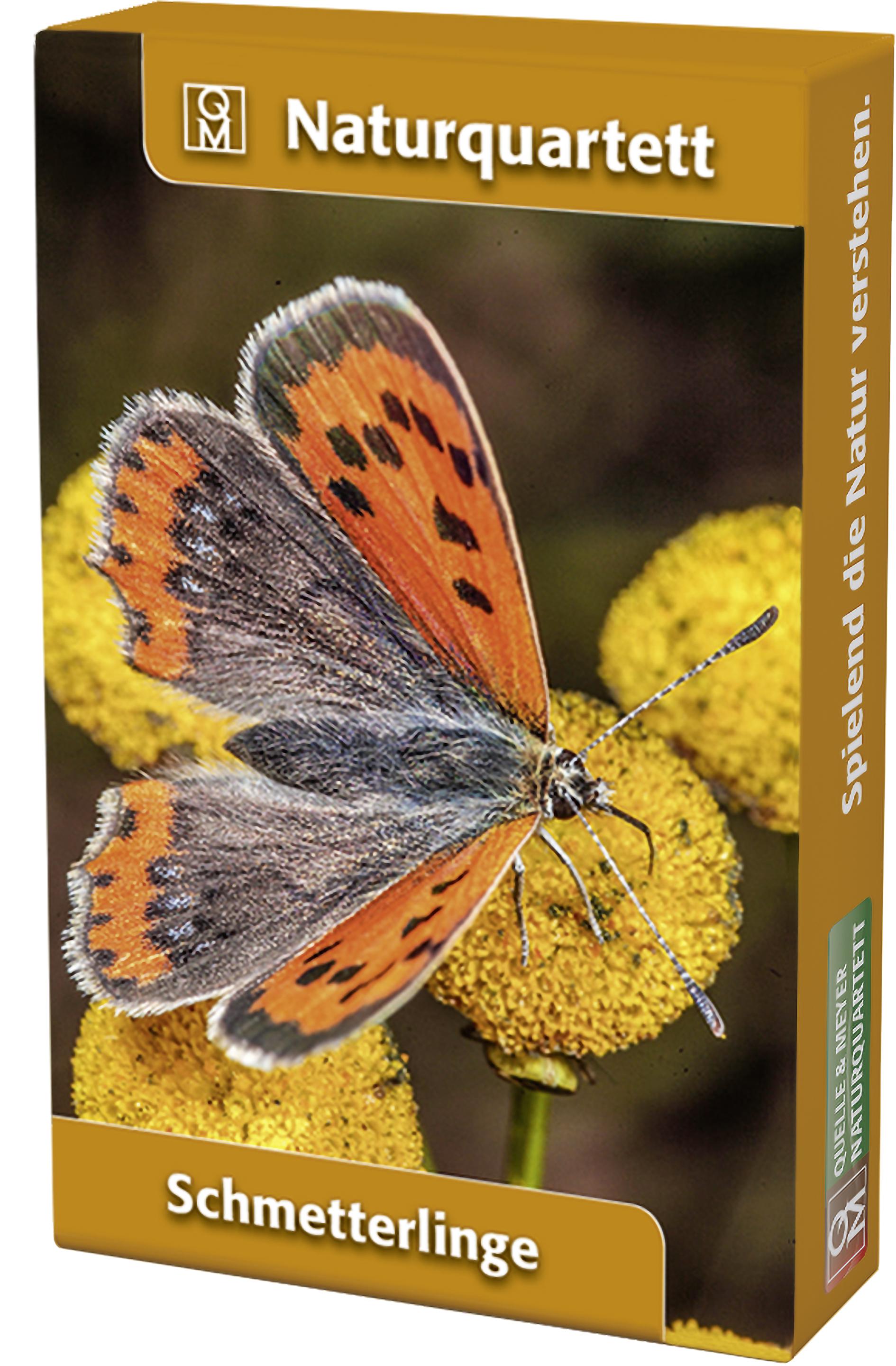 Vorderes Coverbild Schmetterlinge