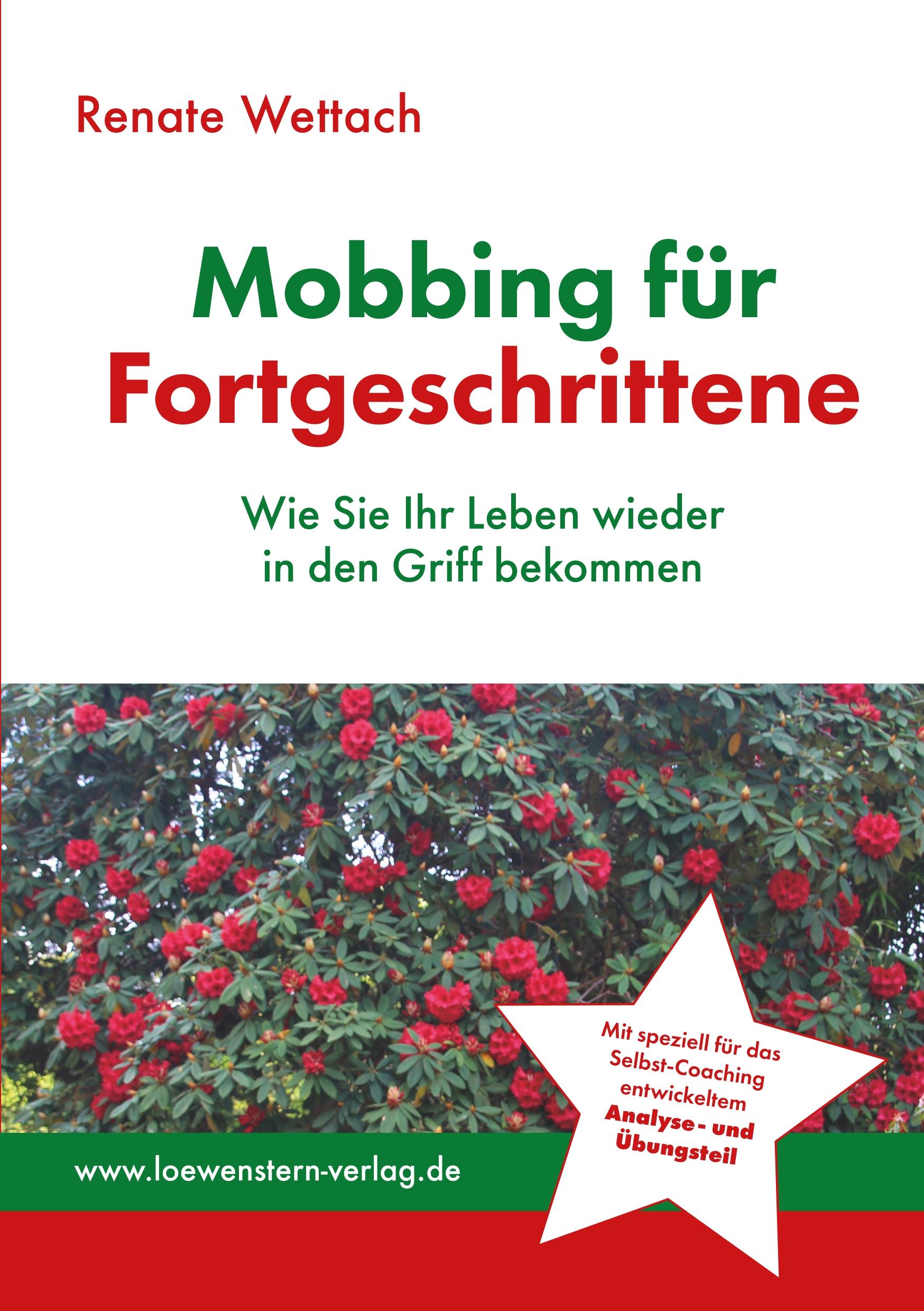 Vorderes Coverbild Mobbing für Fortgeschrittene