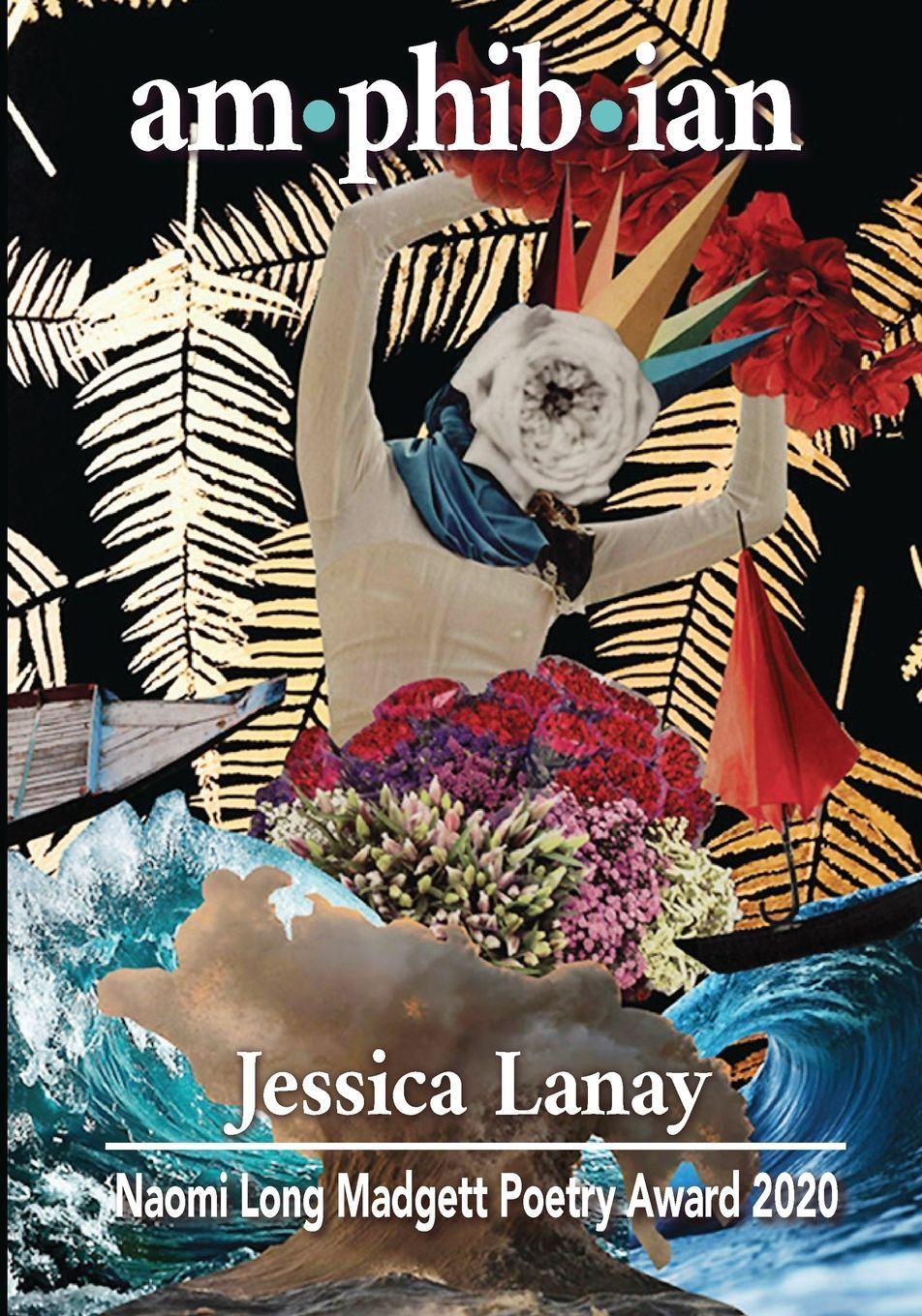 Vorderes Coverbild Am-phib-ian