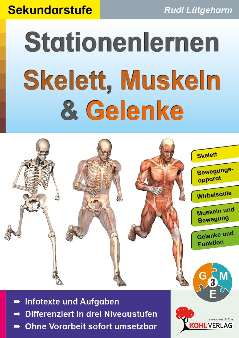 Vorderes Coverbild Stationenlernen Skelette, Muskeln & Gelenke