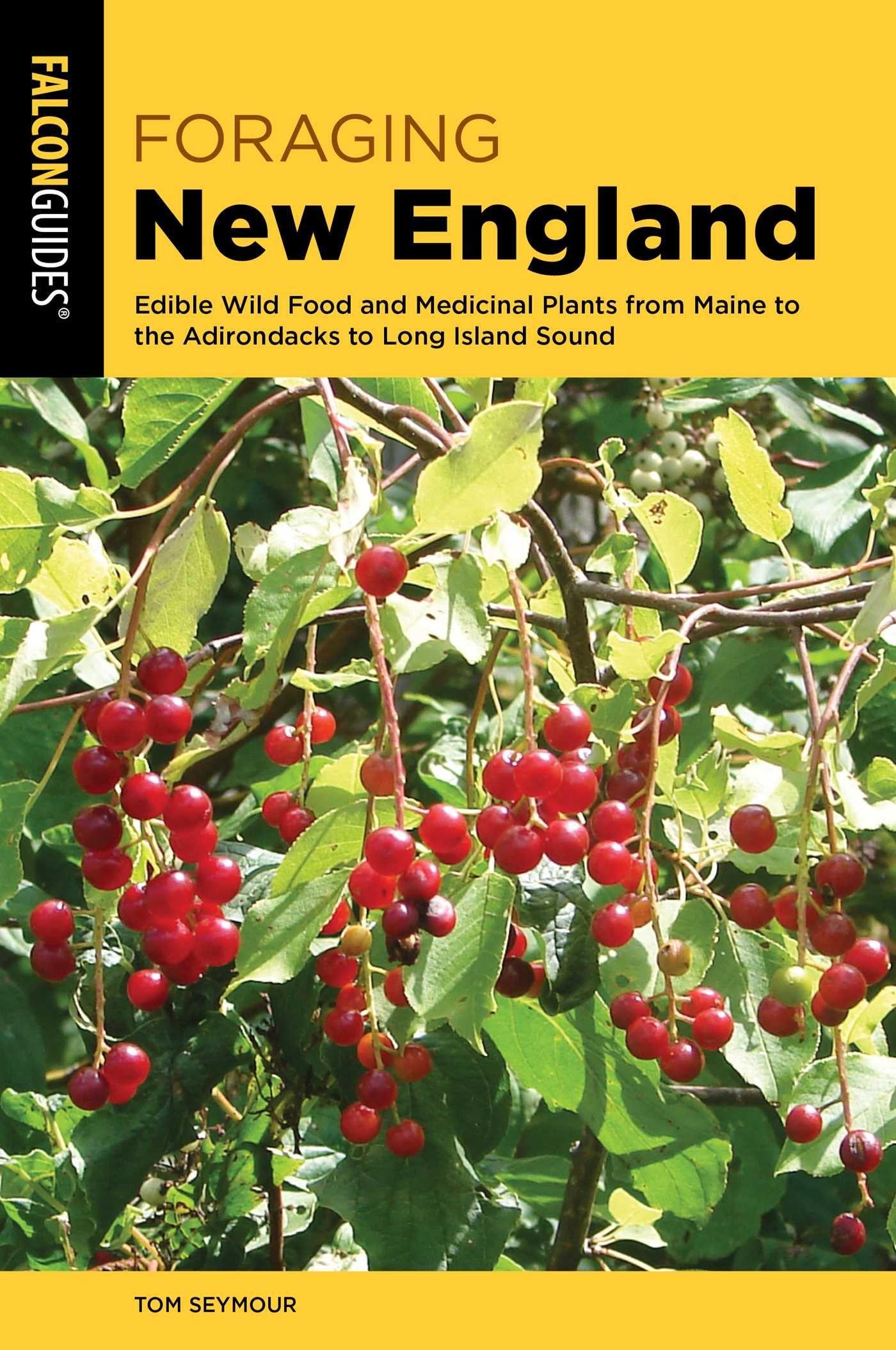 Vorderes Coverbild Foraging New England