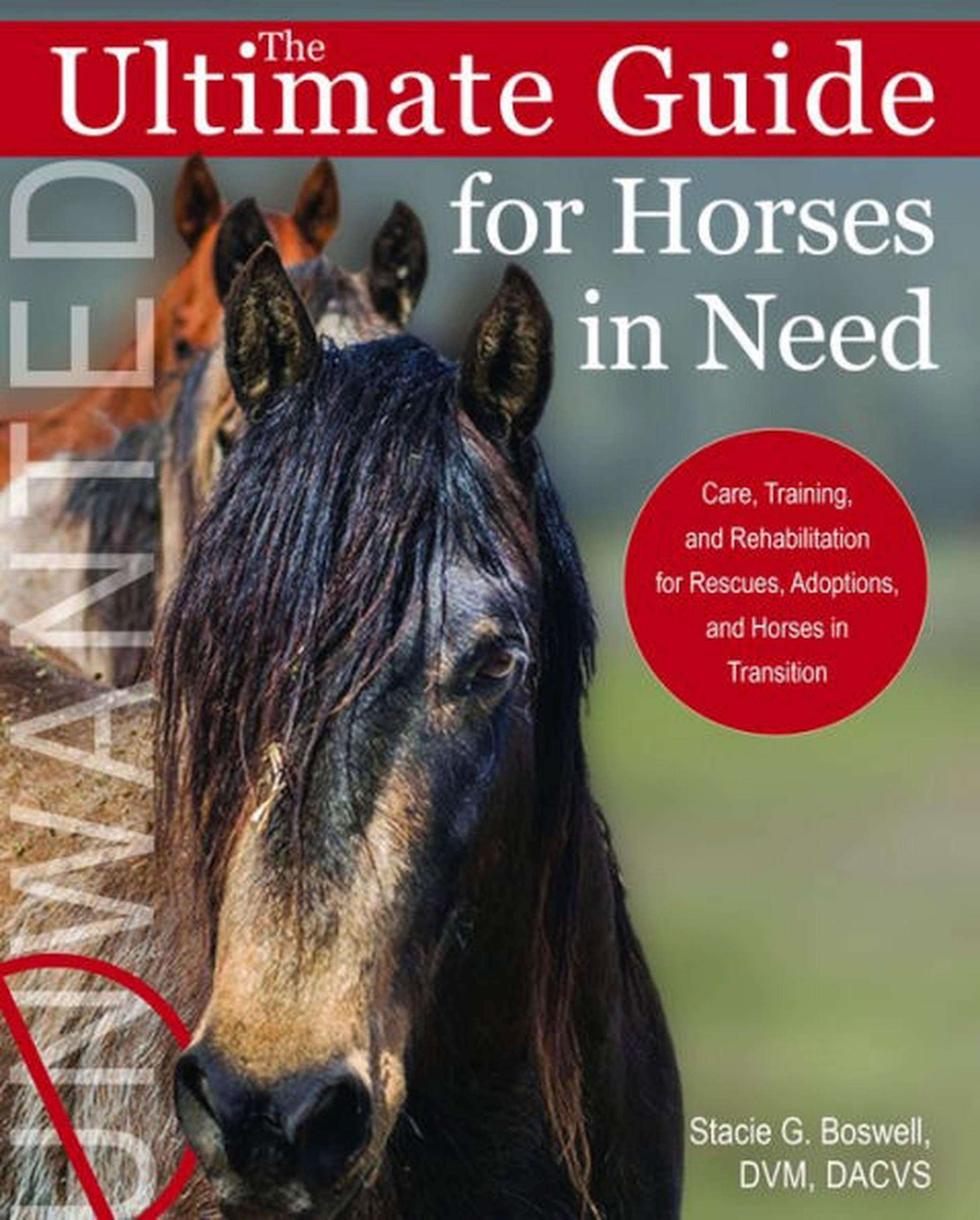 Vorderes Coverbild Ultimate Guide for Horses in Need