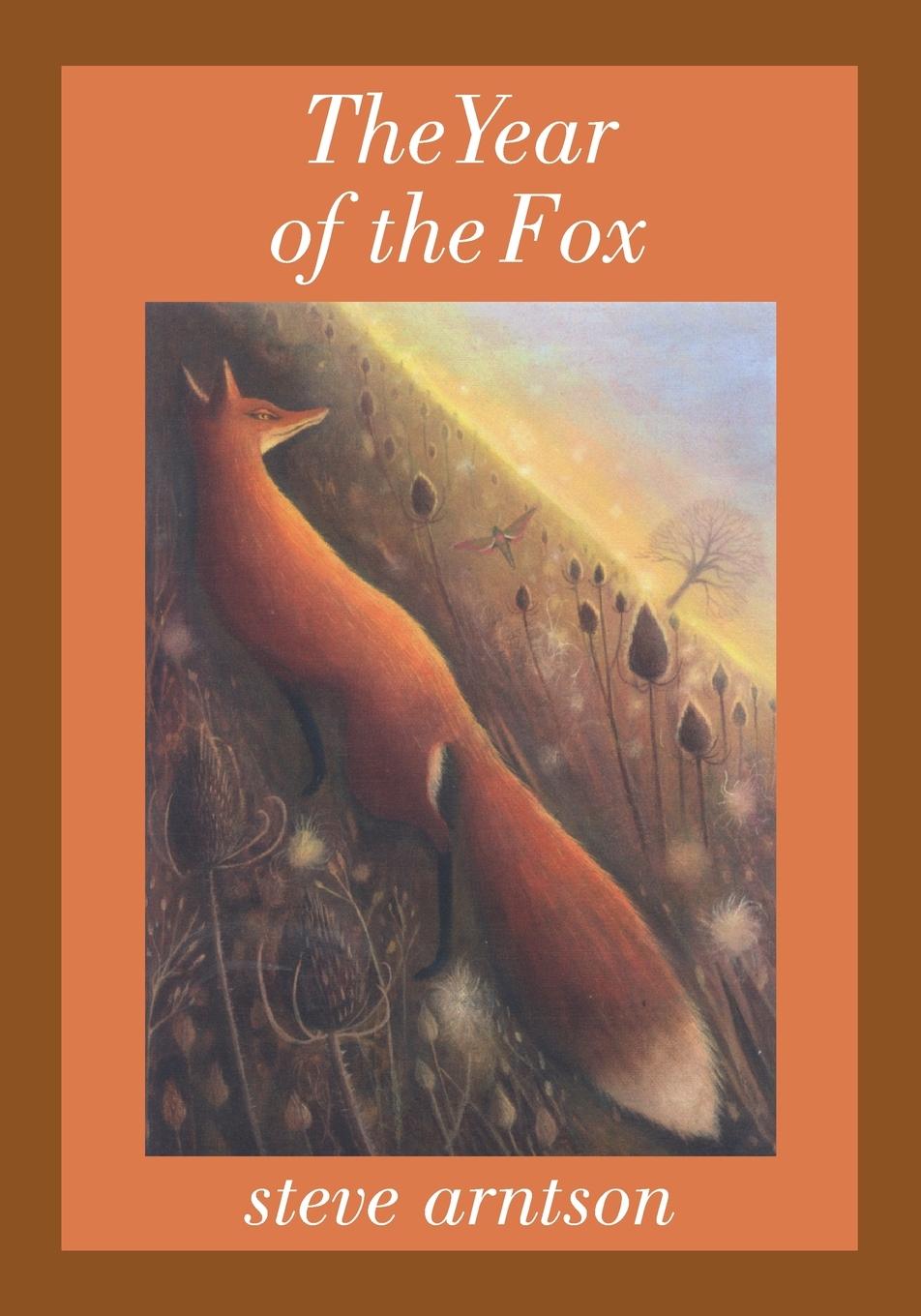 Vorderes Coverbild The Year of the Fox
