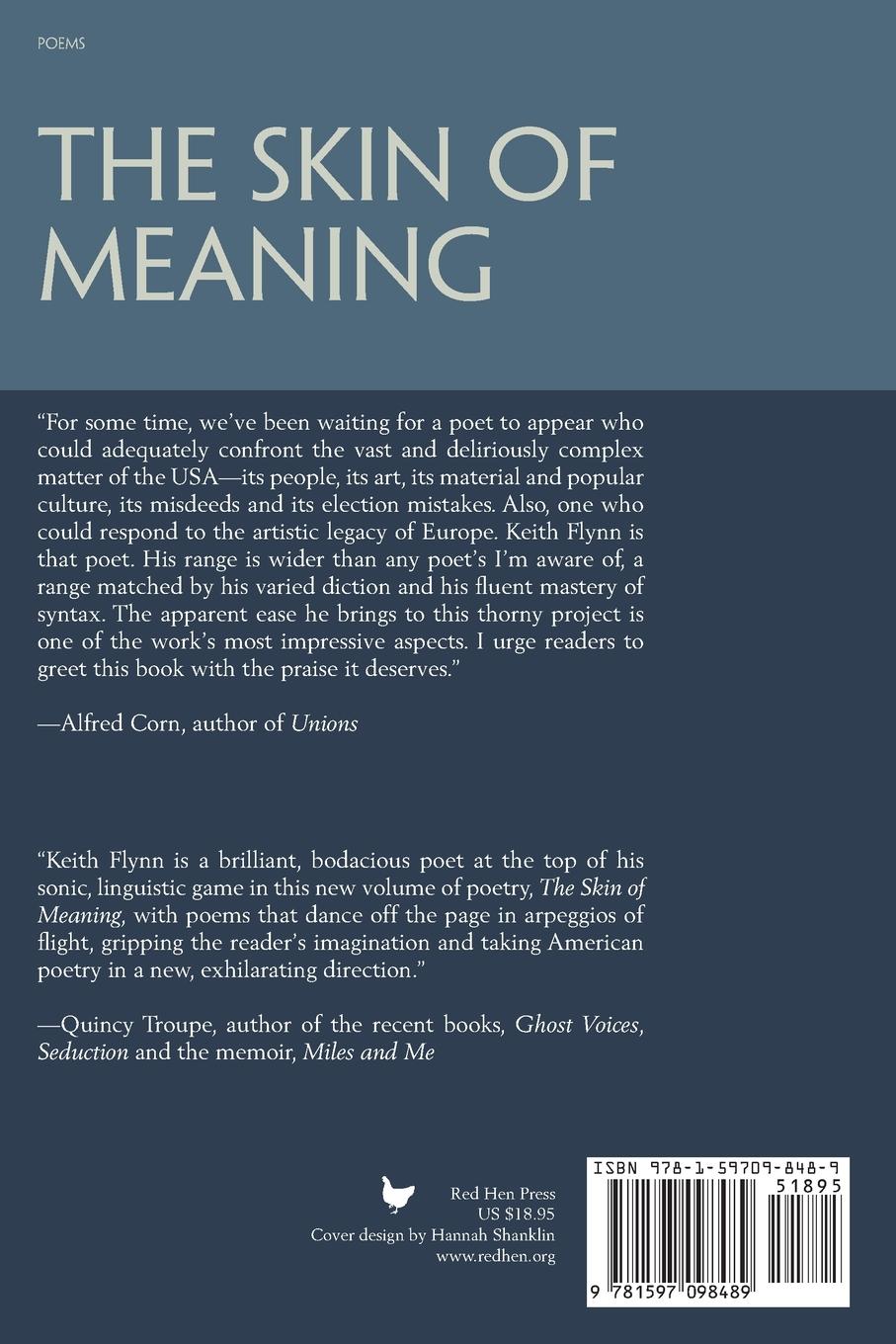 Rückseitencover The Skin of Meaning