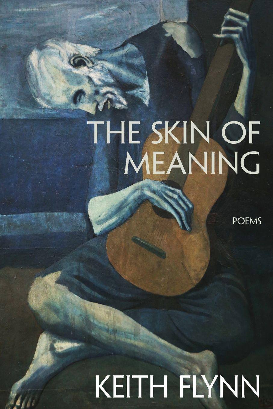 Vorderes Coverbild The Skin of Meaning