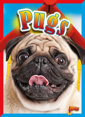 Vorderes Coverbild Pugs