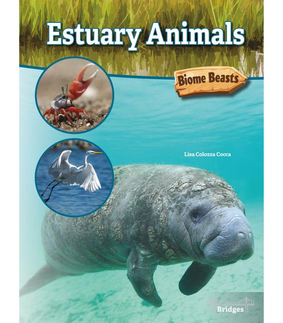 Vorderes Coverbild Estuary Animals