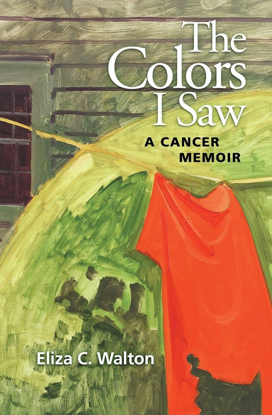 Vorderes Coverbild The Colors I Saw