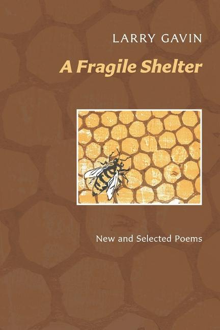 Vorderes Coverbild A Fragile Shelter: New and Selected Poems