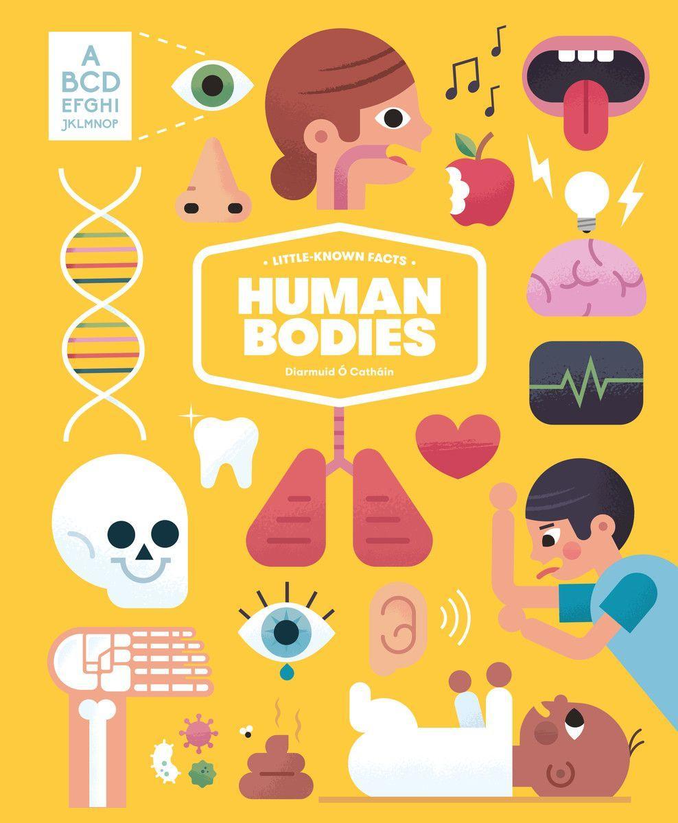 Vorderes Coverbild Little-Known Facts: Human Bodies