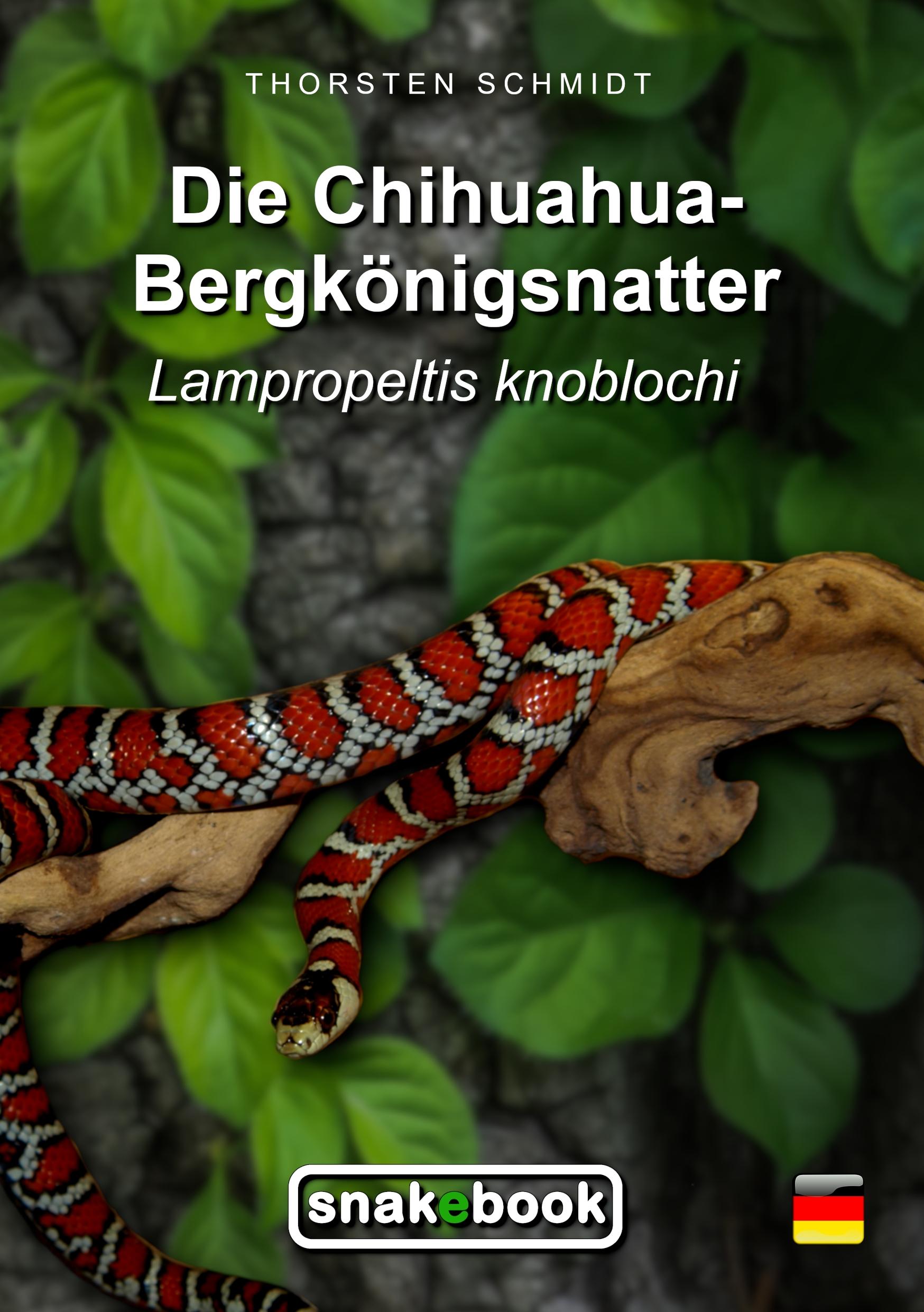 Vorderes Coverbild Die Chihuahua-Bergkönigsnatter