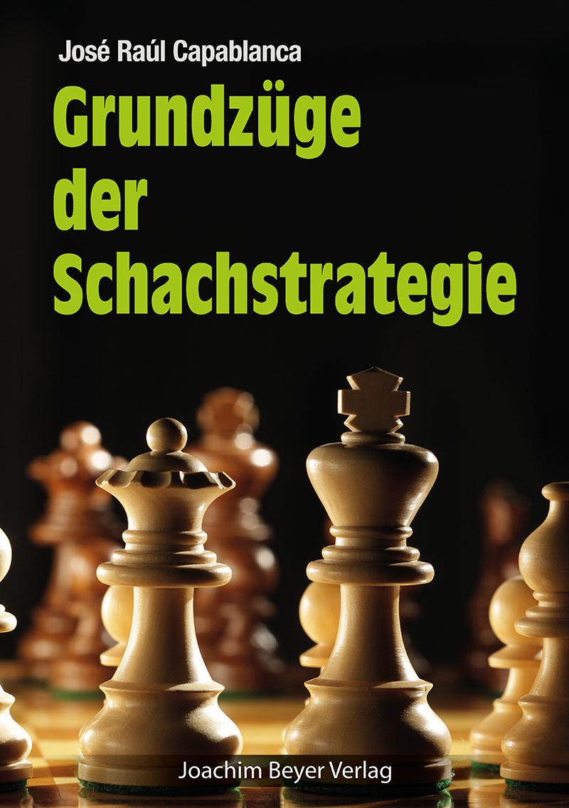 Vorderes Coverbild Grundzüge der Schachstrategie