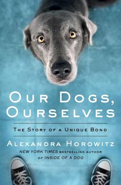 Vorderes Coverbild Our Dogs, Ourselves
