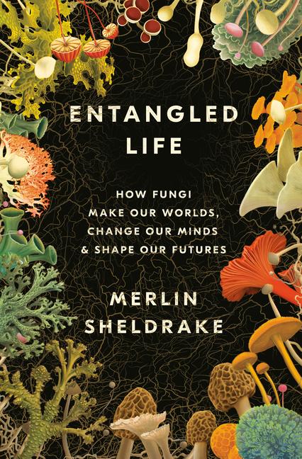 Vorderes Coverbild Entangled Life