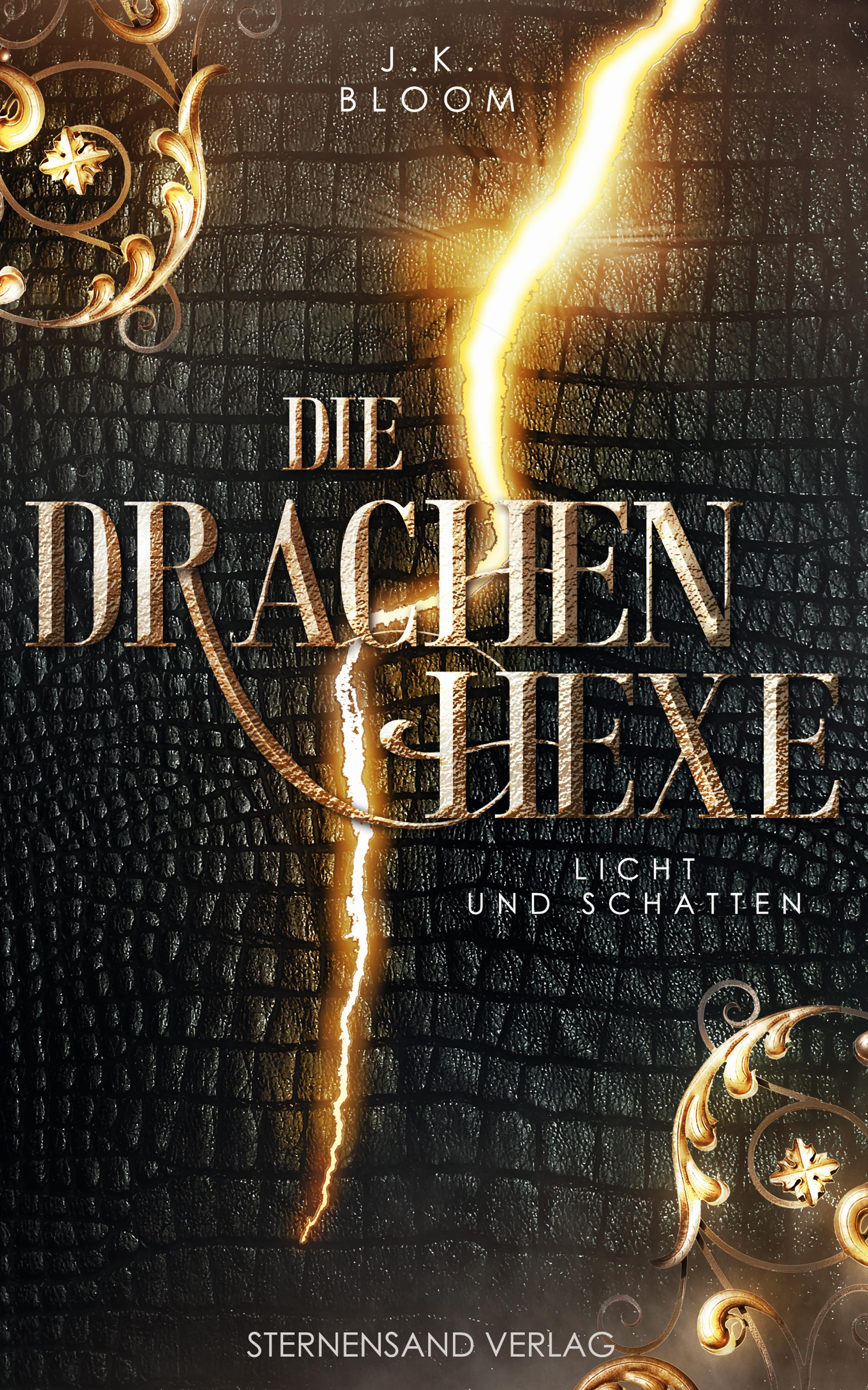 Vorderes Coverbild Die Drachenhexe (Band 1): Licht und Schatten
