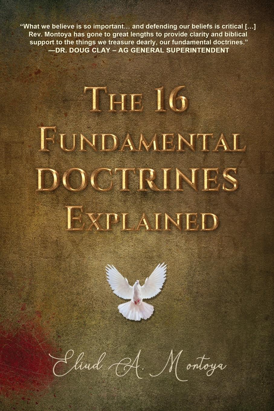 Vorderes Coverbild The 16 Fundamental Doctrines Explained
