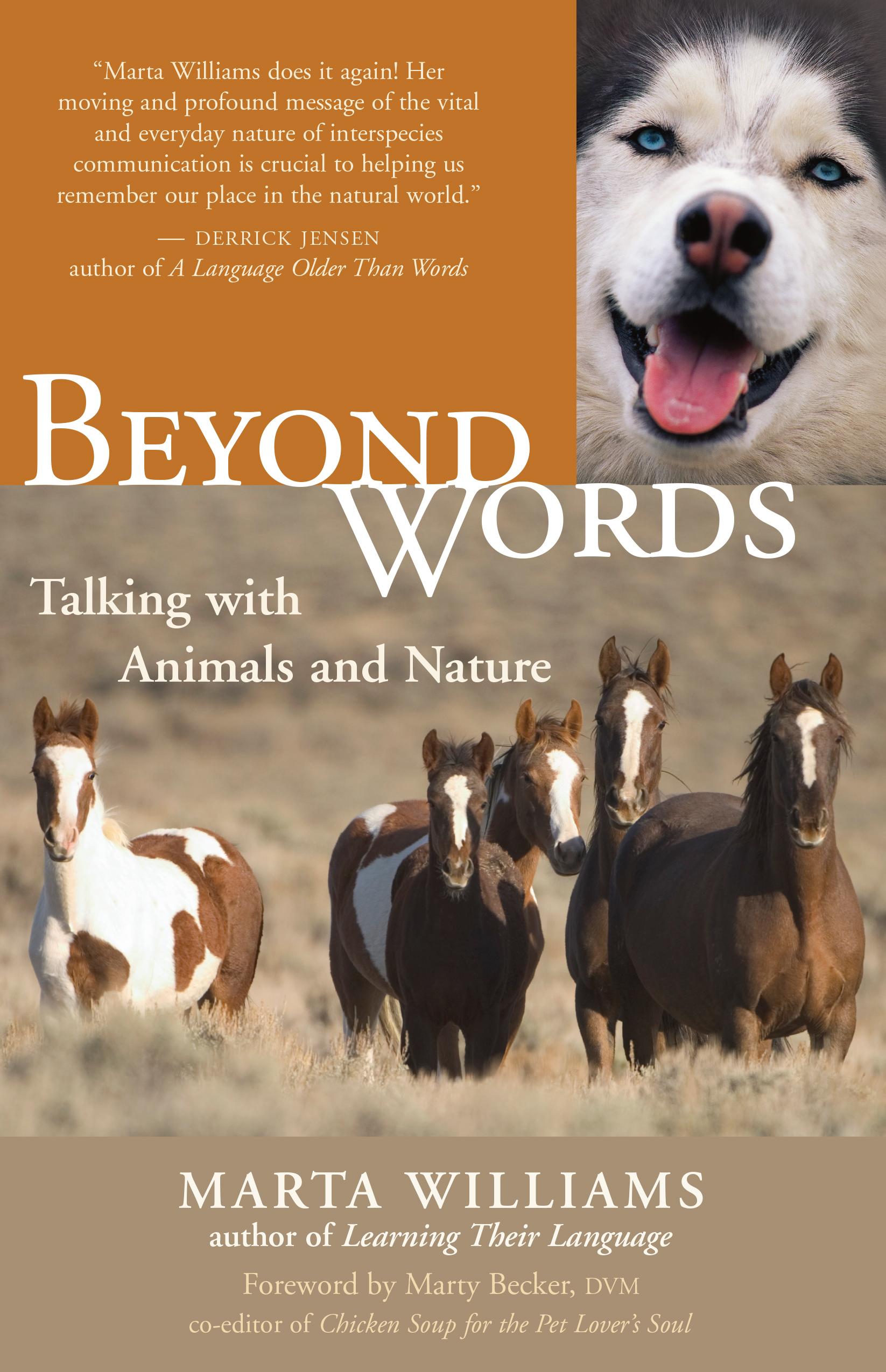 Vorderes Coverbild Beyond Words