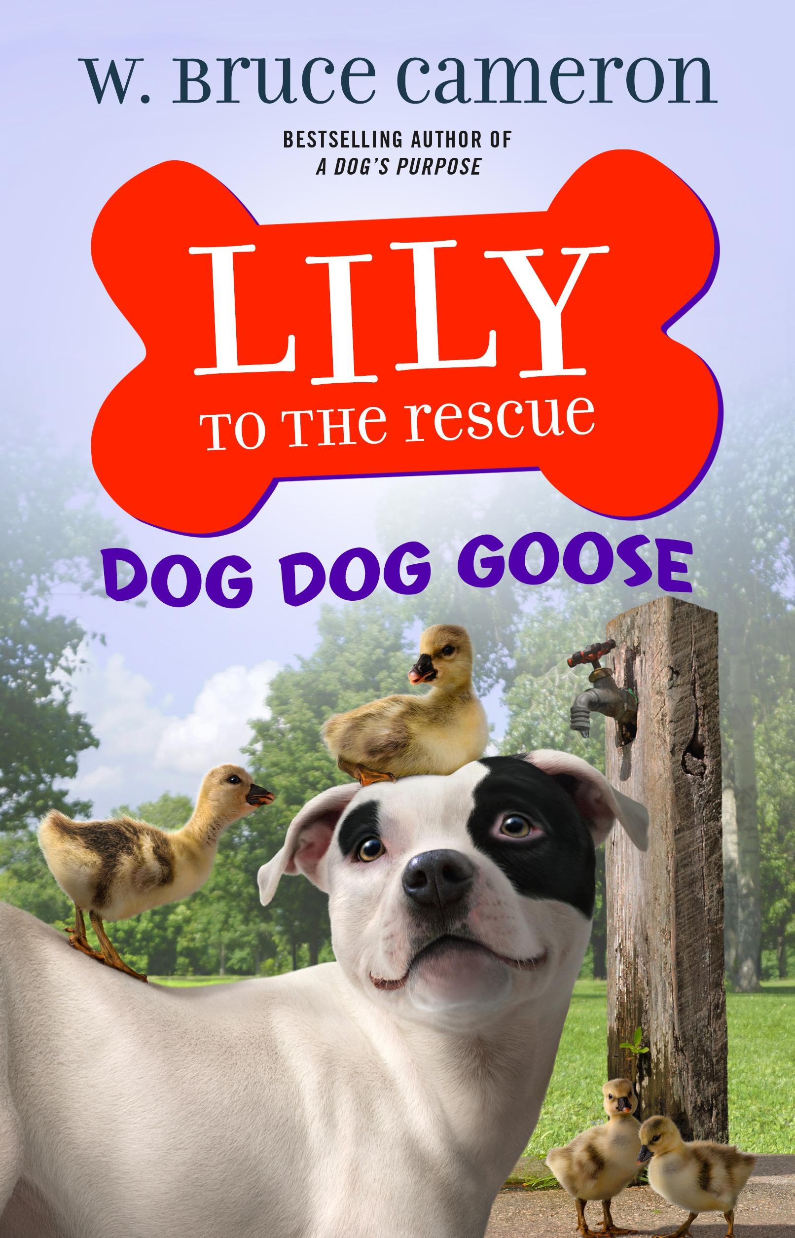 Vorderes Coverbild Lily to the Rescue: Dog Dog Goose