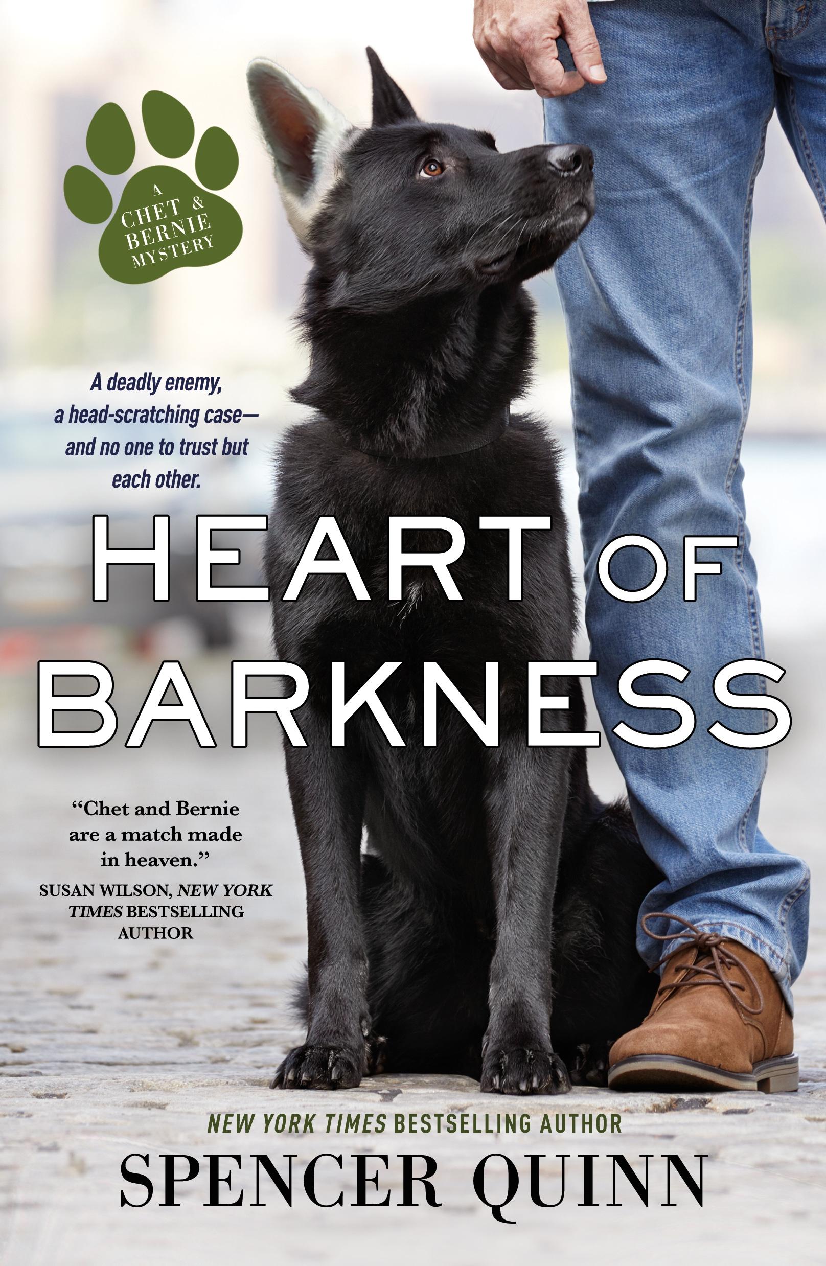 Vorderes Coverbild Heart of Barkness
