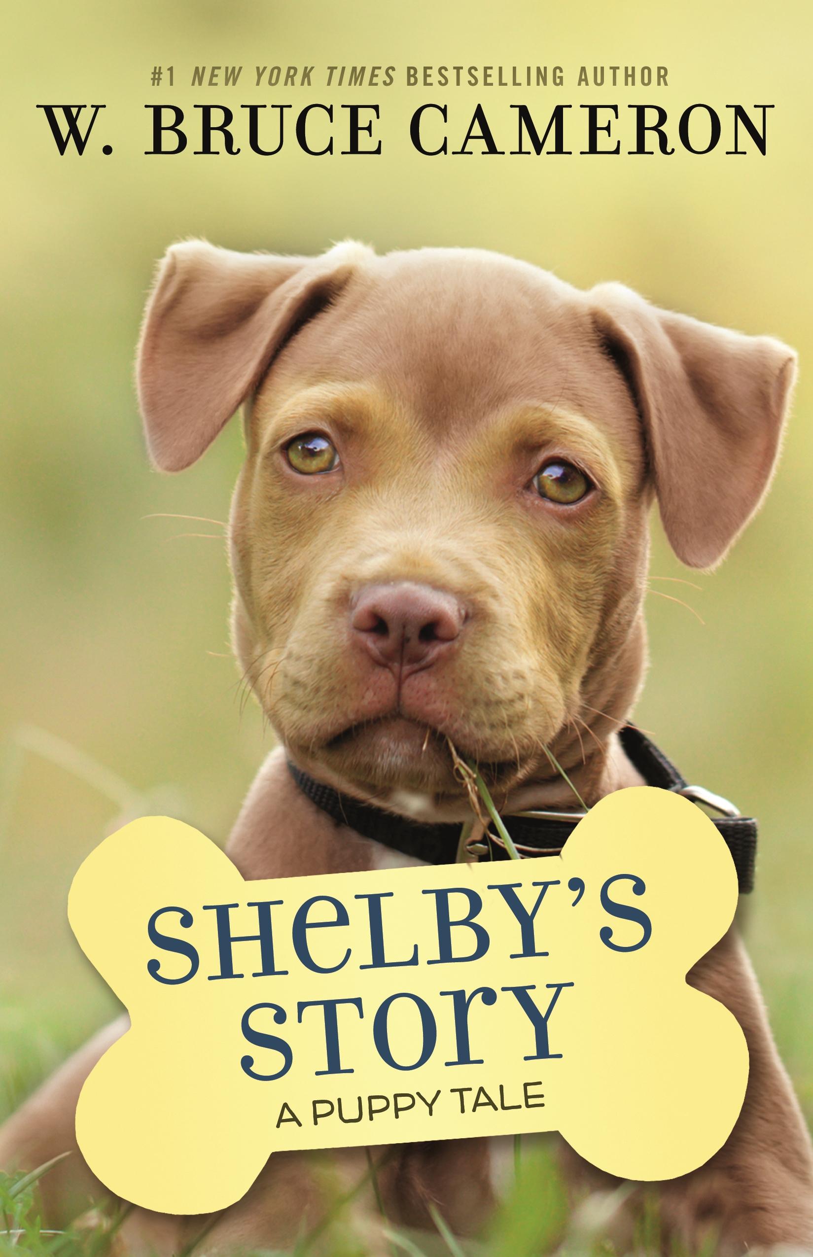 Vorderes Coverbild Shelby's Story