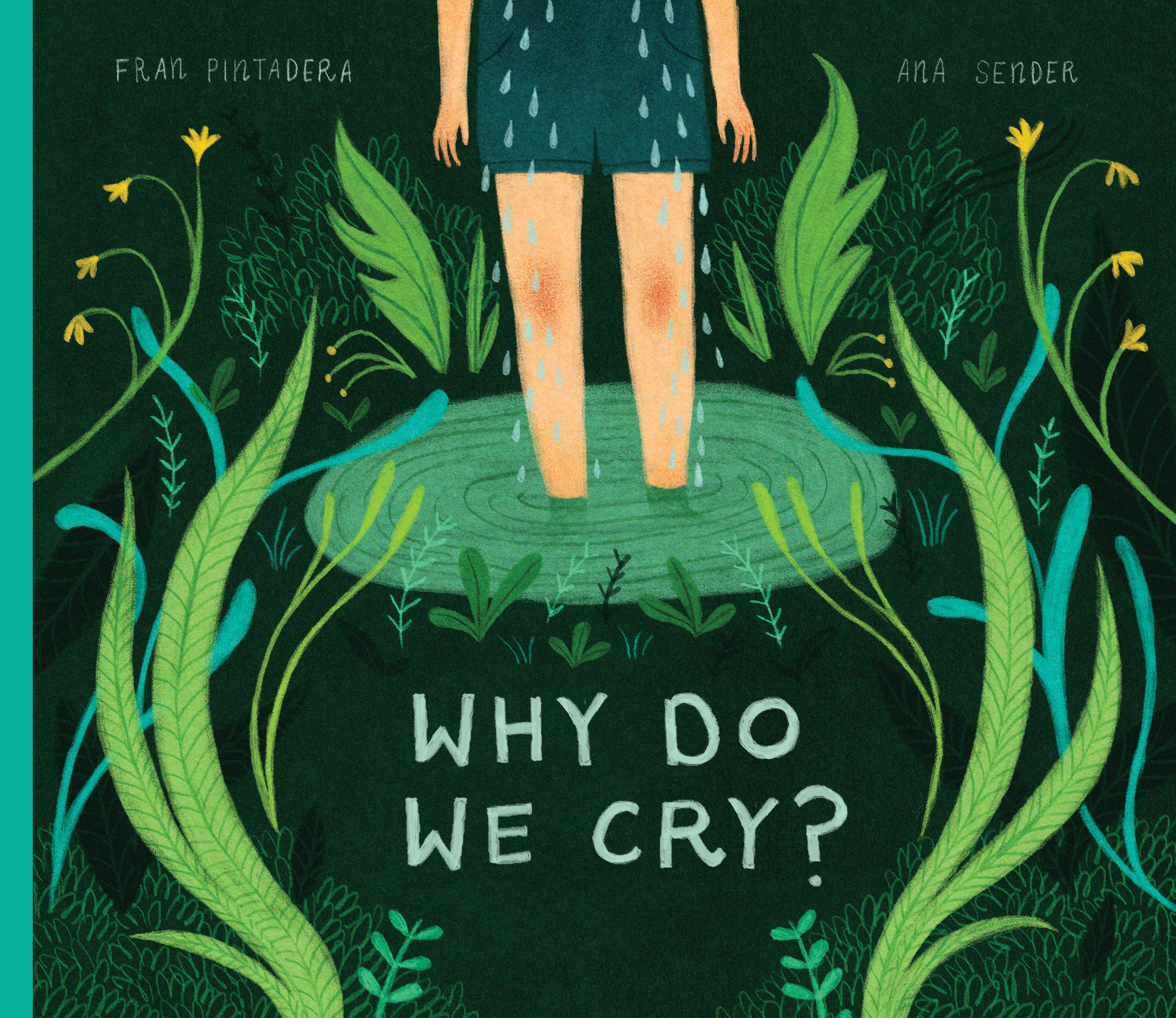 Vorderes Coverbild Why Do We Cry?