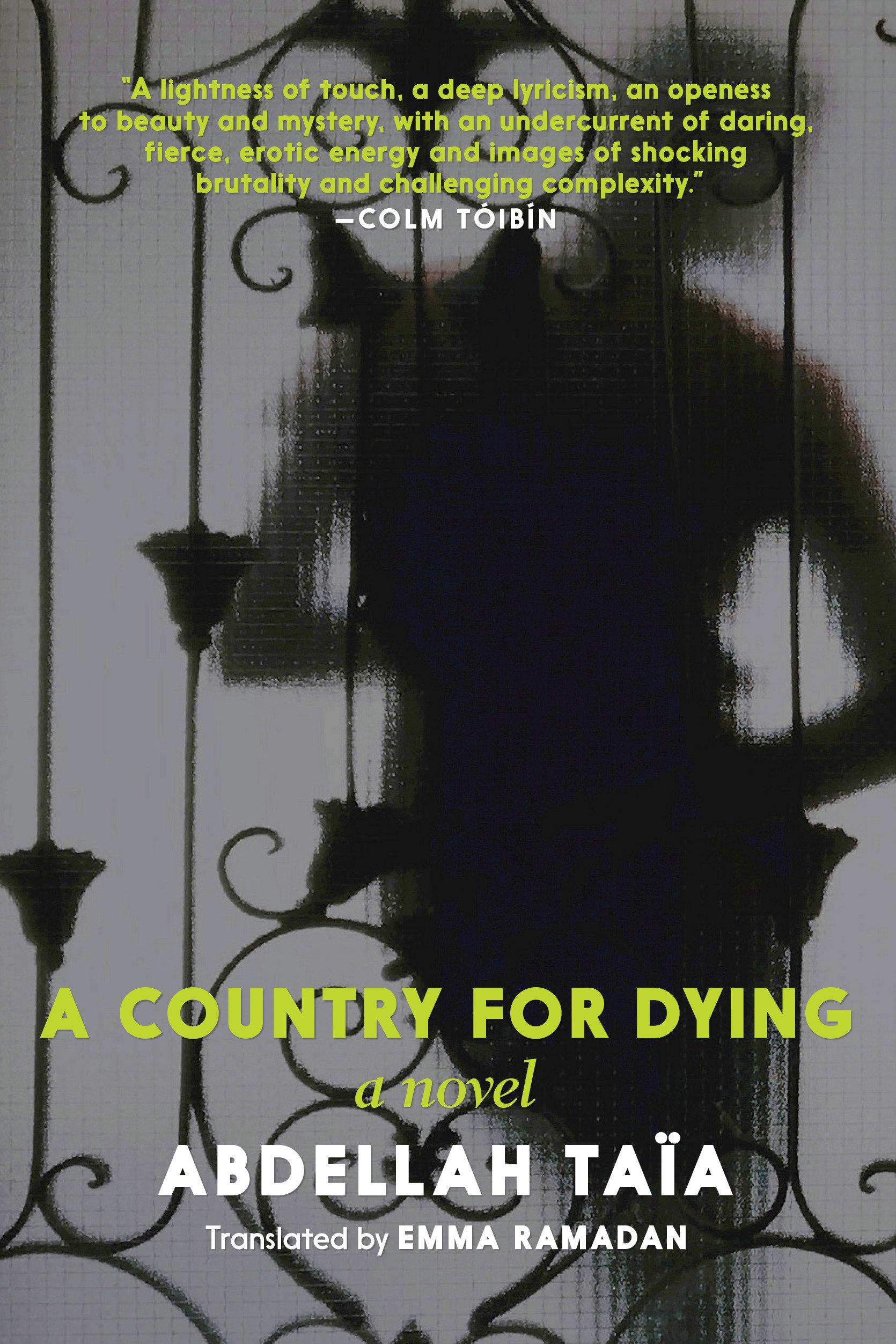 Vorderes Coverbild A Country for Dying