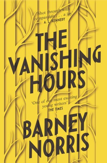 Vorderes Coverbild The Vanishing Hours