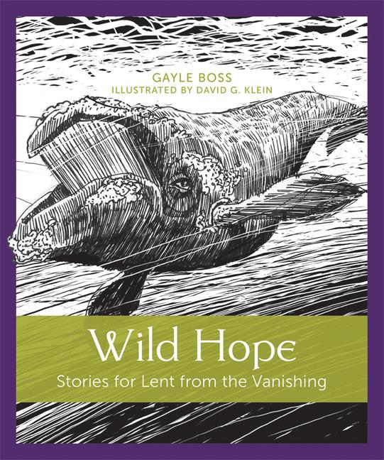 Vorderes Coverbild Wild Hope