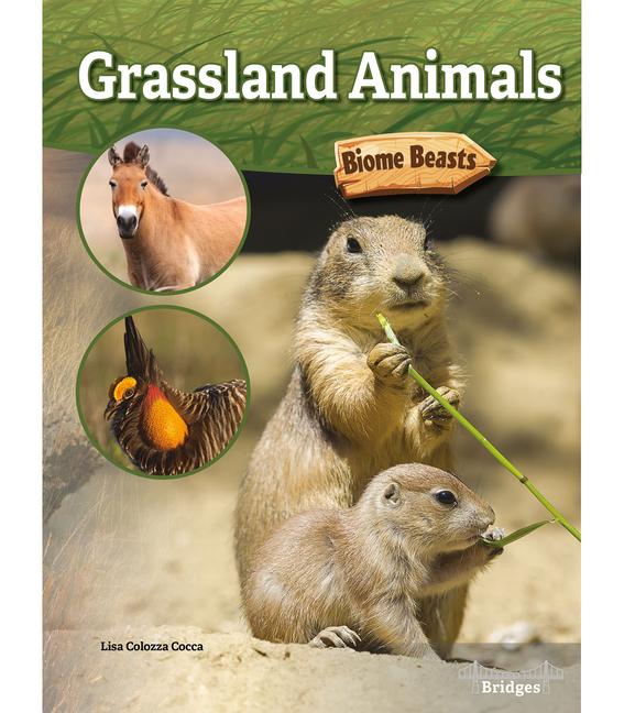 Vorderes Coverbild Grassland Animals