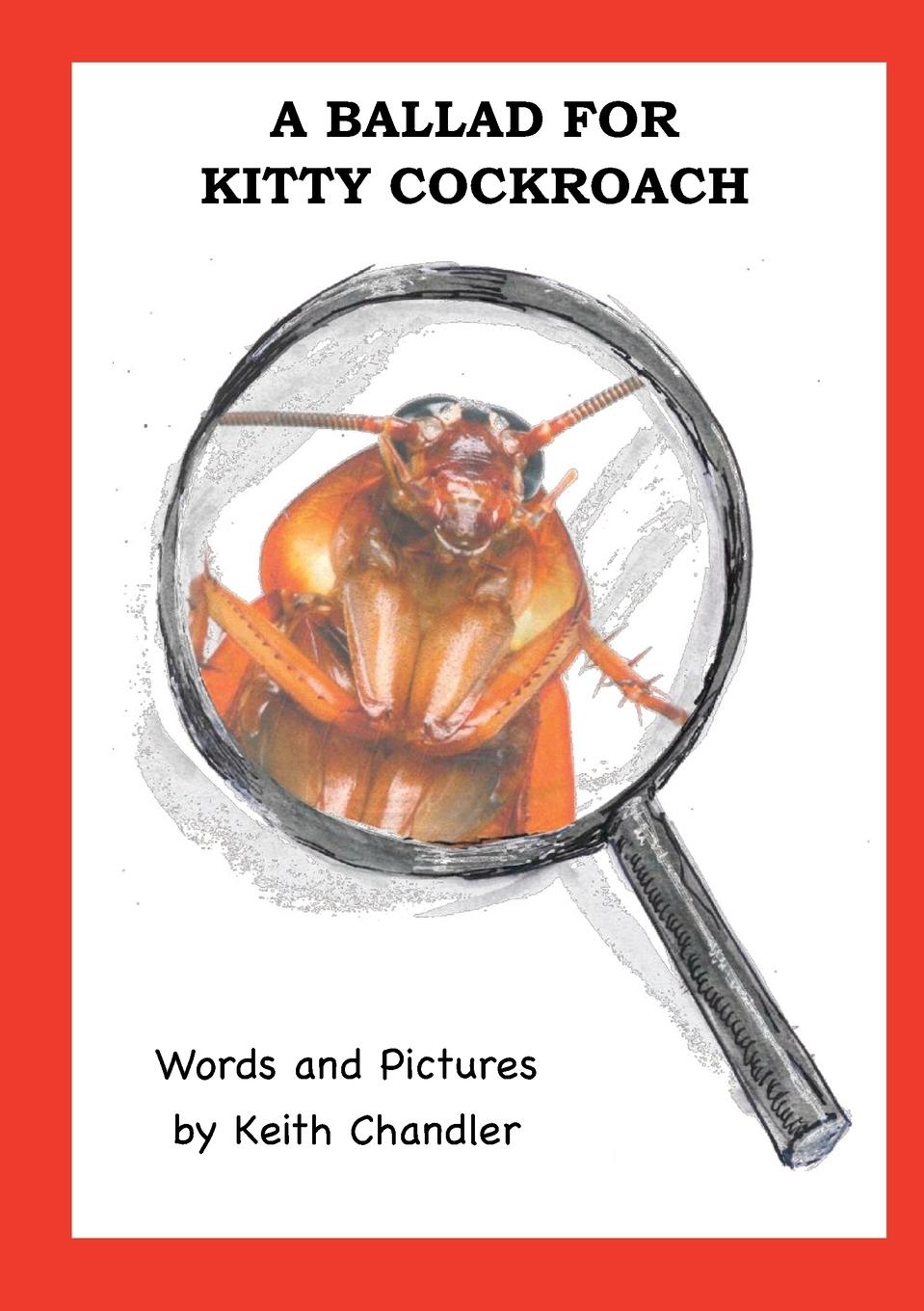 Vorderes Coverbild A Ballad for Kitty Cockroach