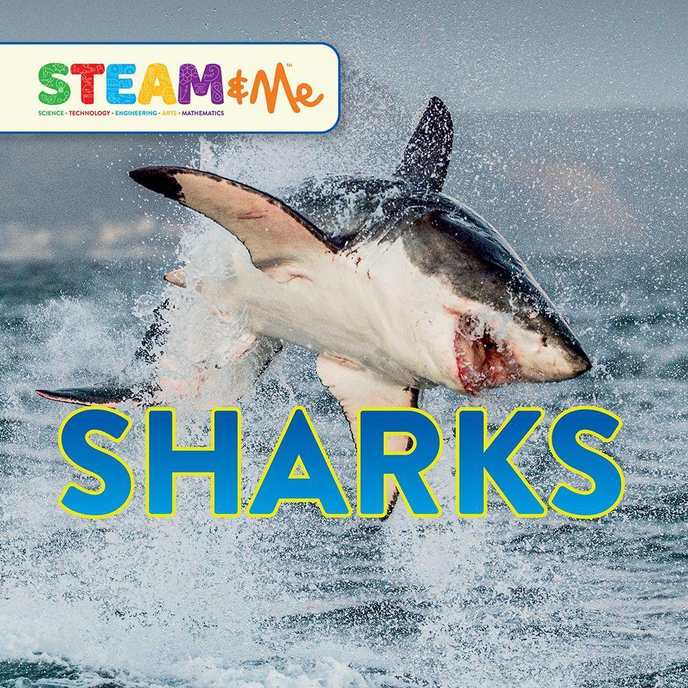 Vorderes Coverbild Sharks
