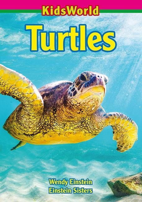 Vorderes Coverbild Turtles