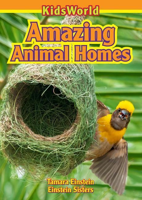 Vorderes Coverbild Amazing Animal Homes