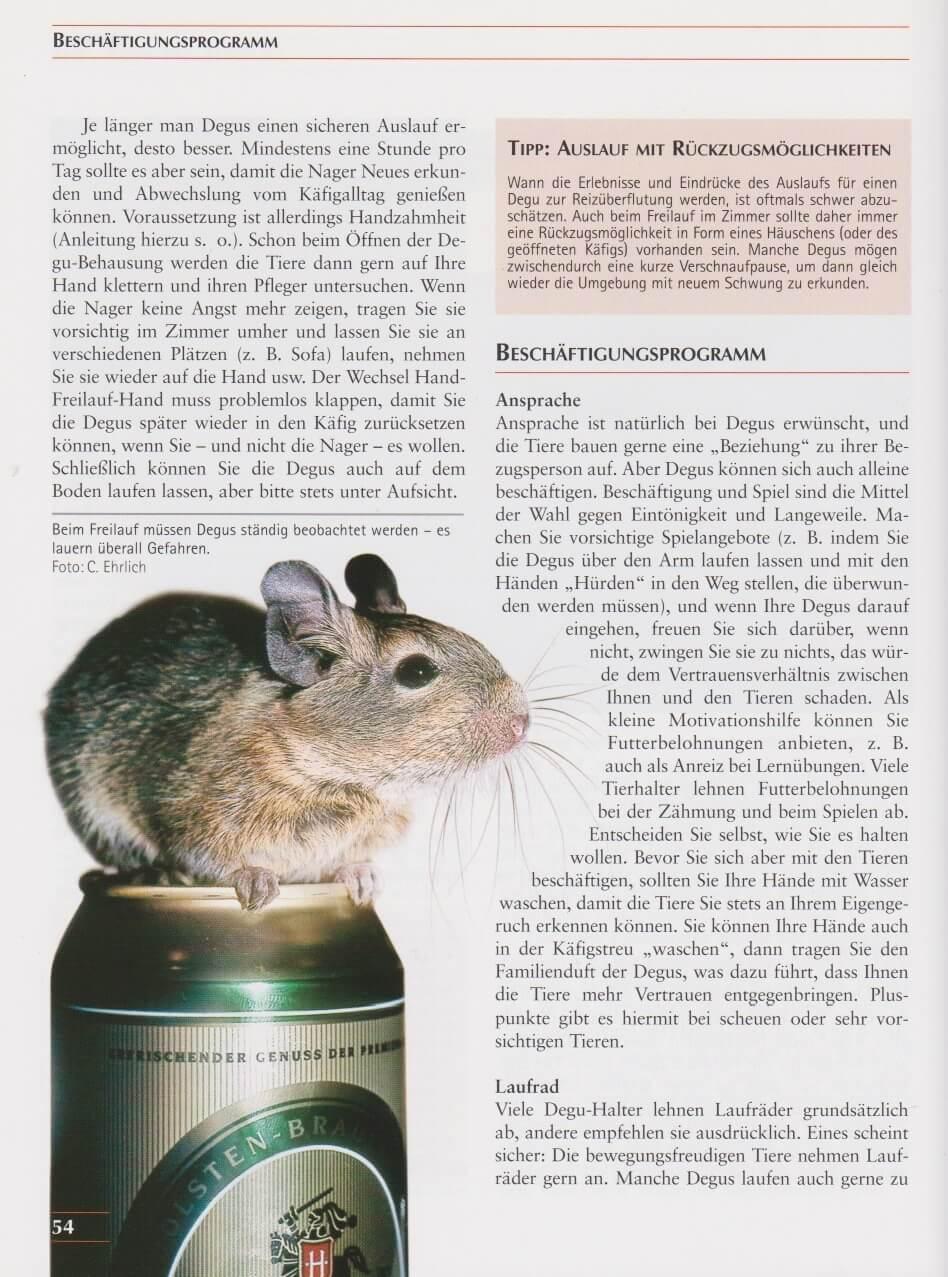 Beispielinhalt (Bild) Degus