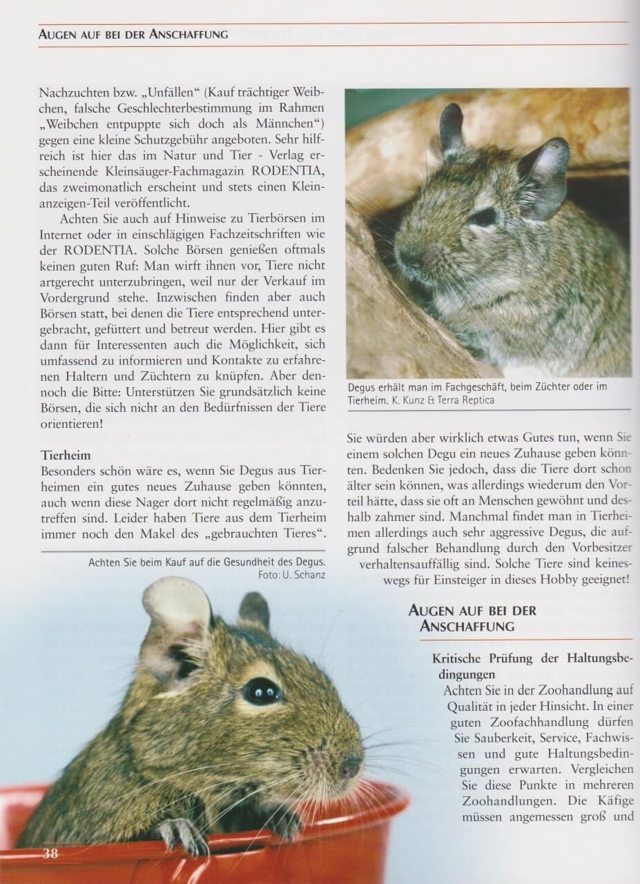 Beispielinhalt (Bild) Degus