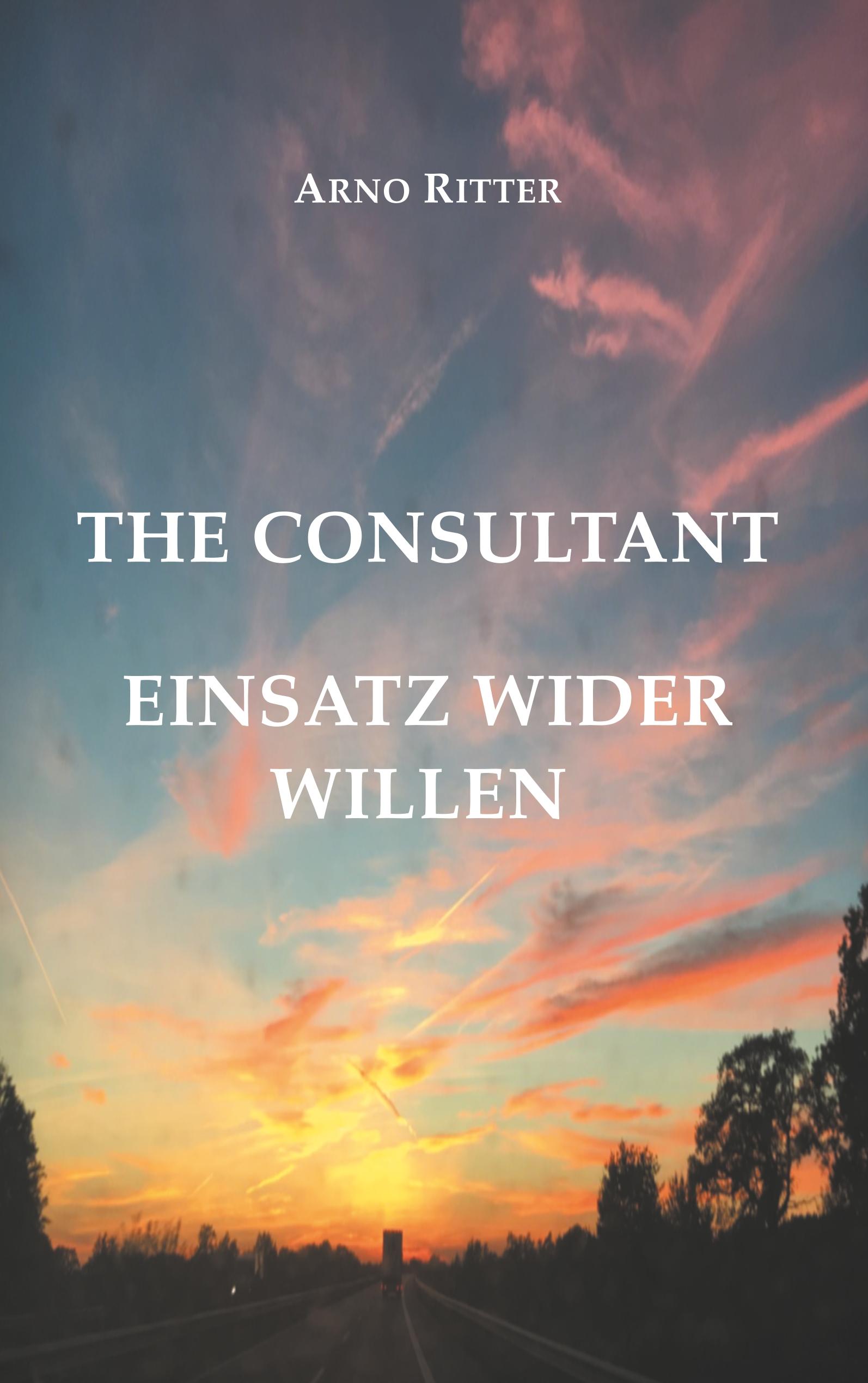 Vorderes Coverbild The Consultant