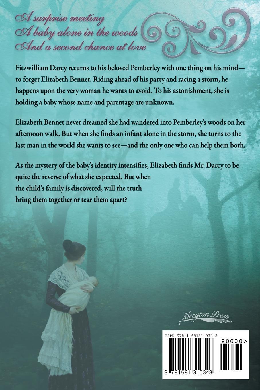 Rückseitencover A Chance Encounter inPemberley Woods