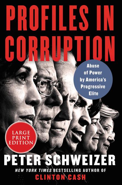 Vorderes Coverbild Profiles in Corruption