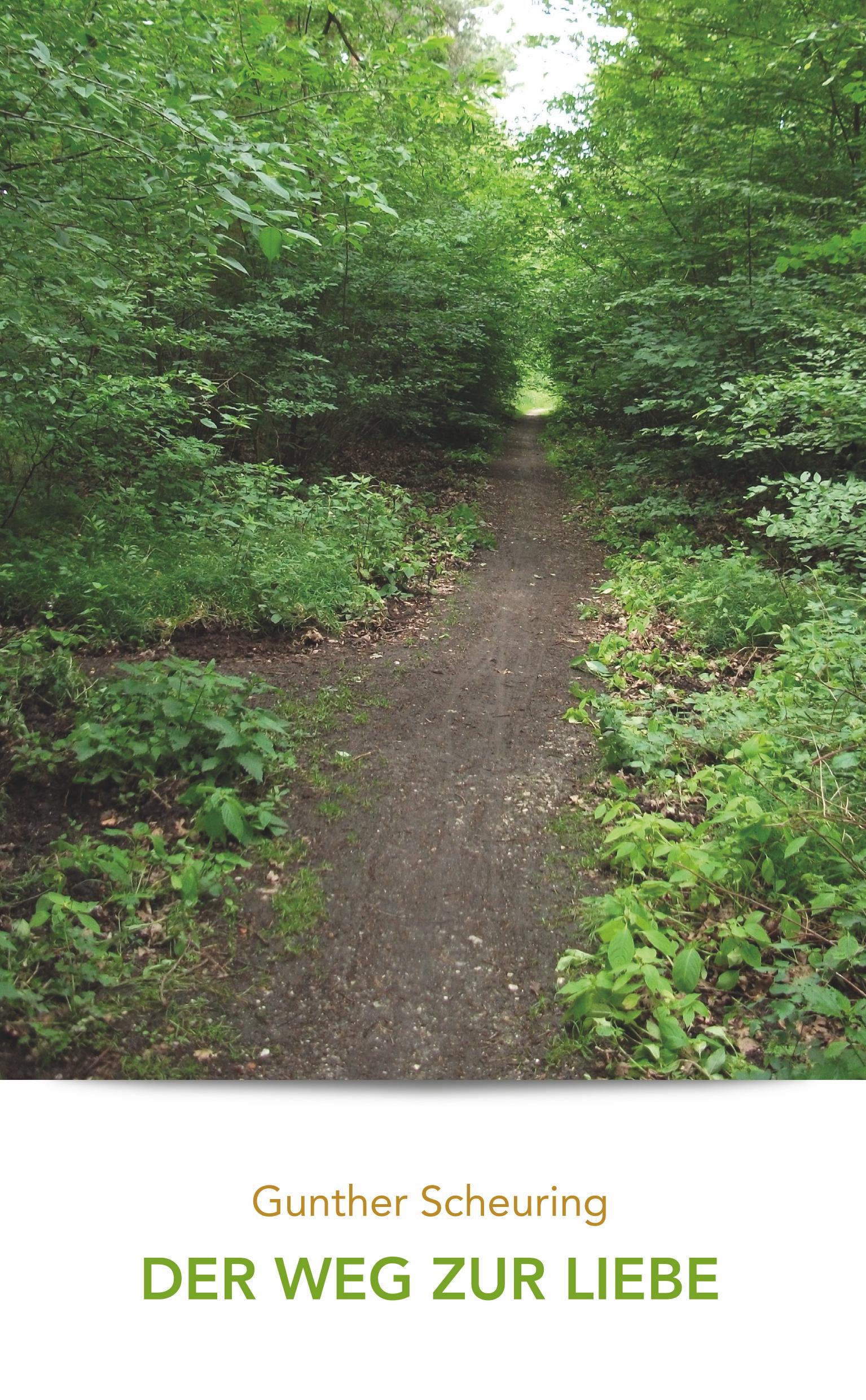 Vorderes Coverbild Der Weg zur Liebe