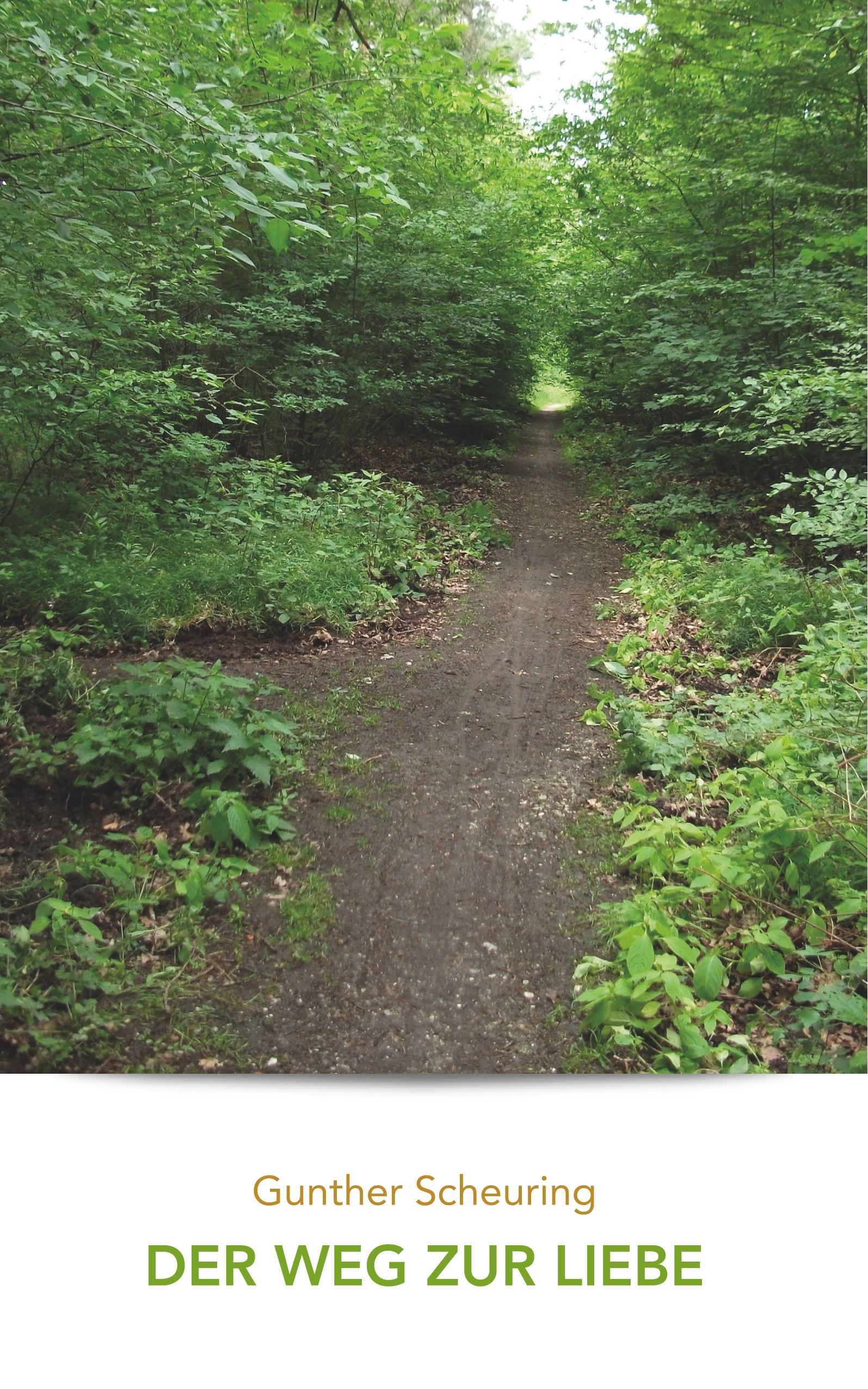 Vorderes Coverbild Der Weg zur Liebe