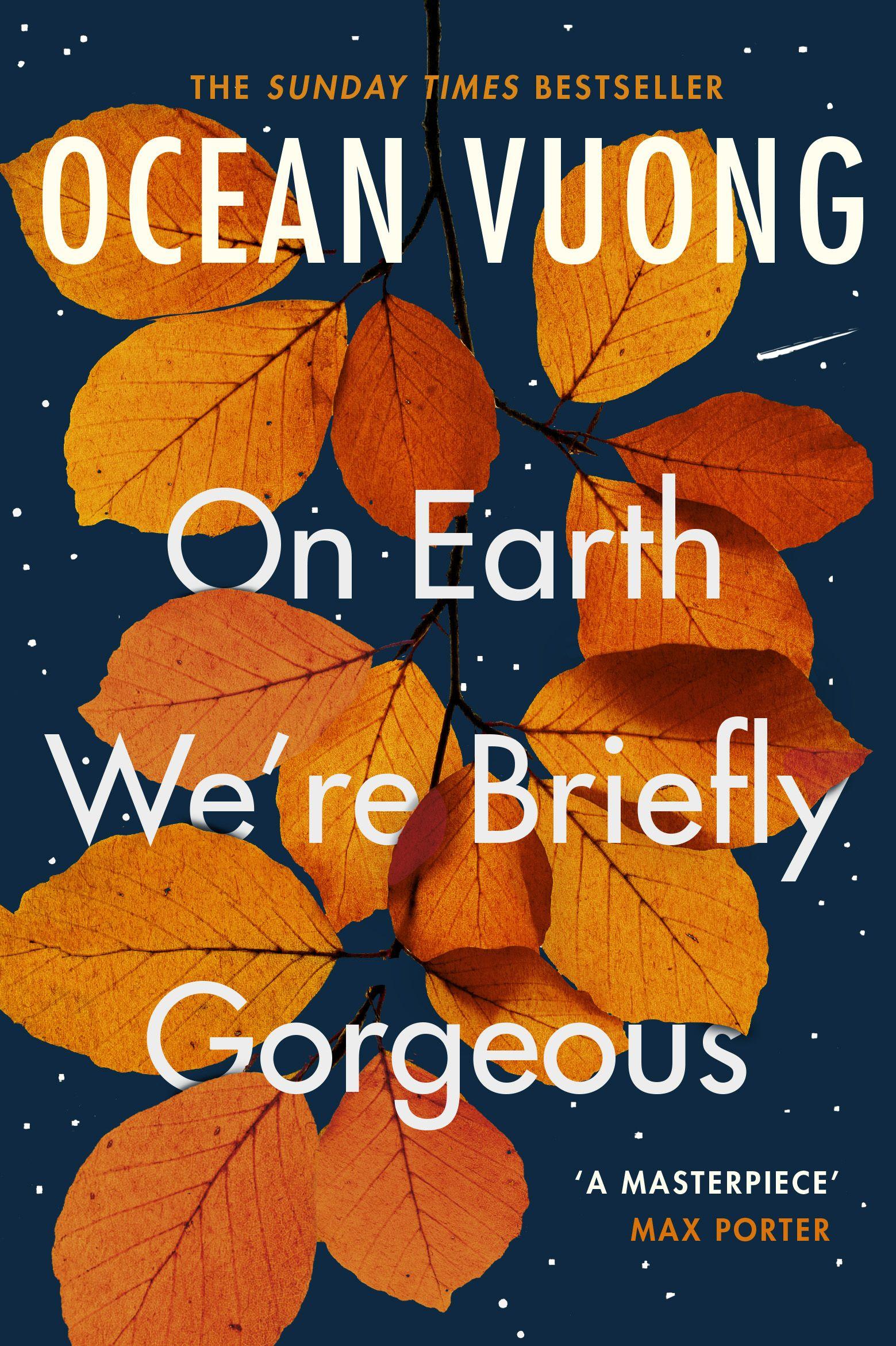 Vorderes Coverbild On Earth We're Briefly Gorgeous