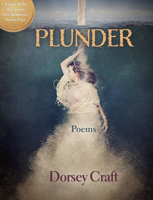 Vorderes Coverbild Plunder