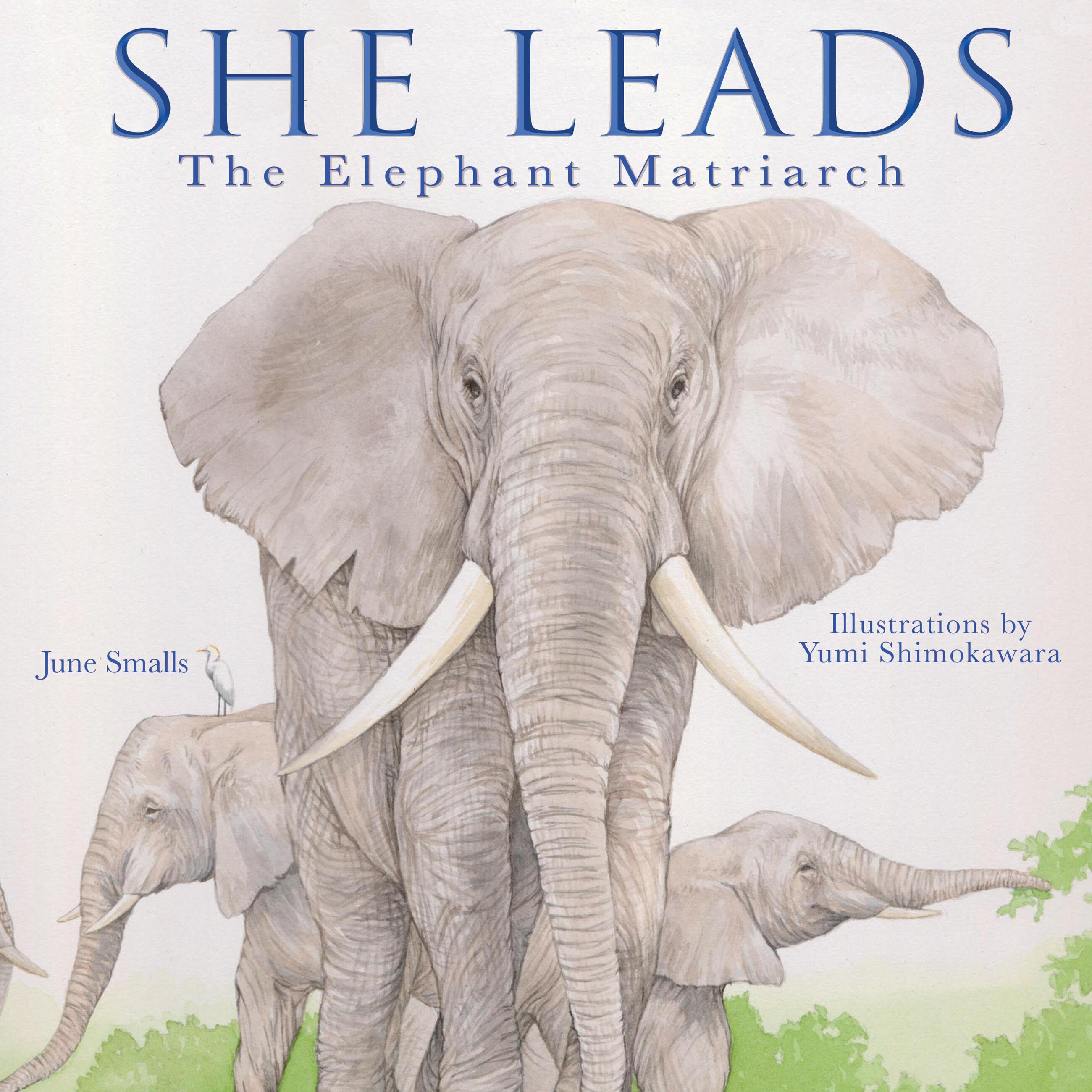 Vorderes Coverbild She Leads