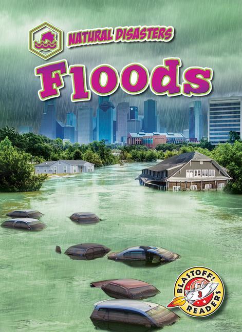 Vorderes Coverbild Floods