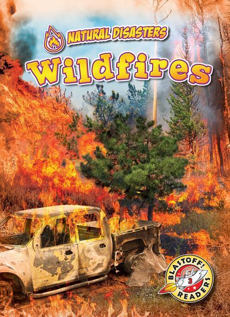 Vorderes Coverbild Wildfires